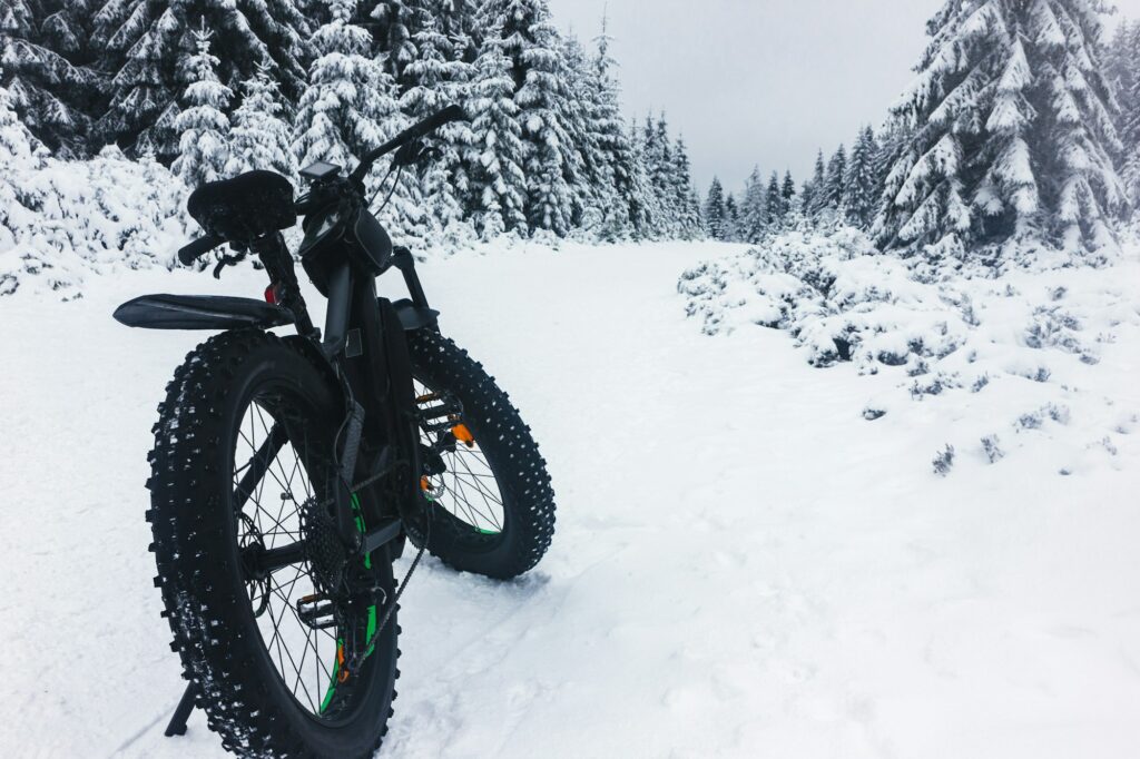 Fat bike in the winter forest. Cycling, fat biking in winter